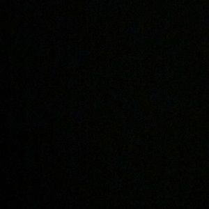 Meet your Posher, Vince